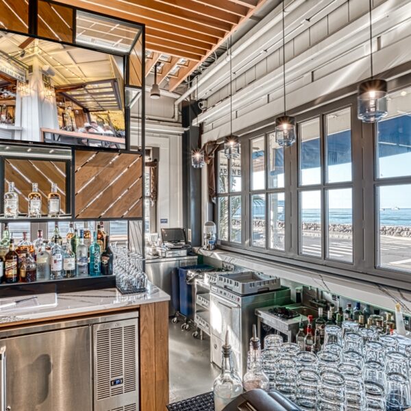 Hydraulic Single Swing System door image